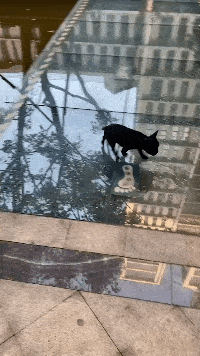 搞笑gif:妹子是个好妹子,就是反应有点迟钝_手机搜狐网