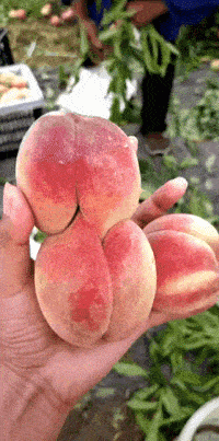 这年头桃子都如胶似漆了,你还凭实力单身!