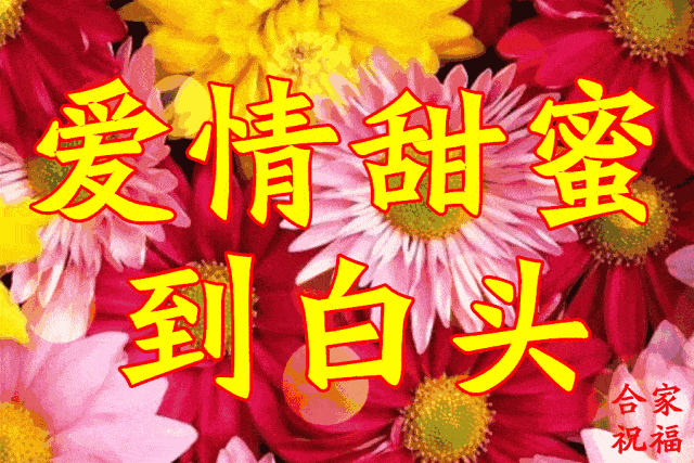 真诚祝福送给你!_手机搜狐网