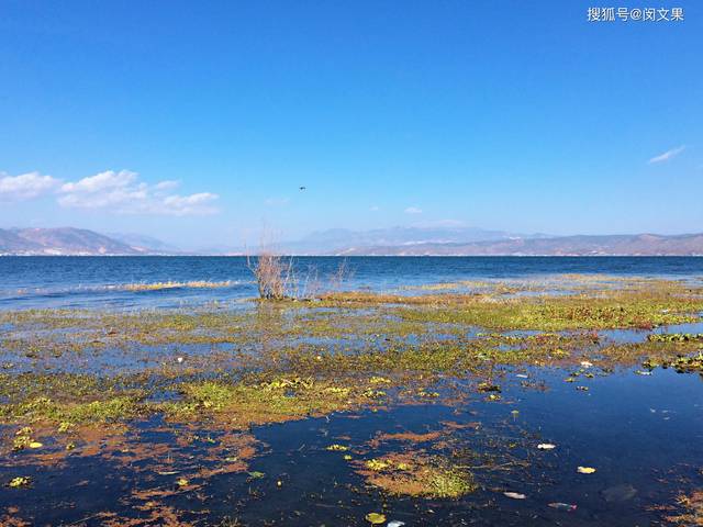 大理海舌公园:绝美洱海景致,还有难得的文艺范儿