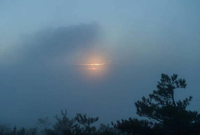 2月22日,一场大雾降临武汉,对我来说,却似"拨开云雾见太阳".