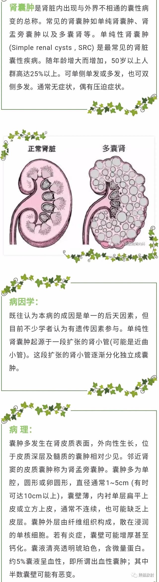 肾囊性肿物之[囊肿合并出血]丨小打卡读片精选(34)