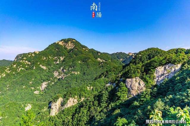 河南南阳:发挥医圣故里中医药优势 协同助力新冠肺炎防治