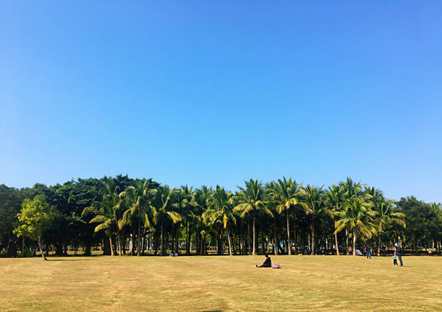 万绿园 海口 市最大的开放性热带海滨生态园林风景,在寸土寸金的市内