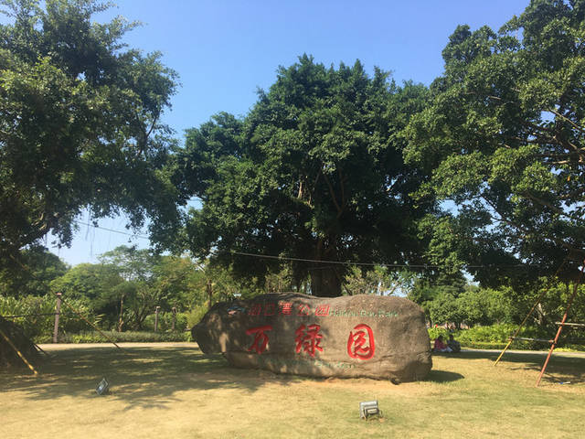 万绿园 海口 市最大的开放性热带海滨生态园林风景,在寸土寸金的市内