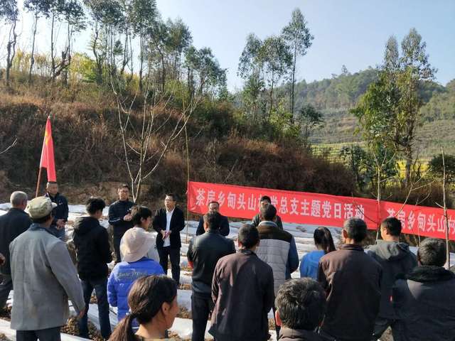 云县茶房乡:把主题党日开到田间地头_手机搜狐网