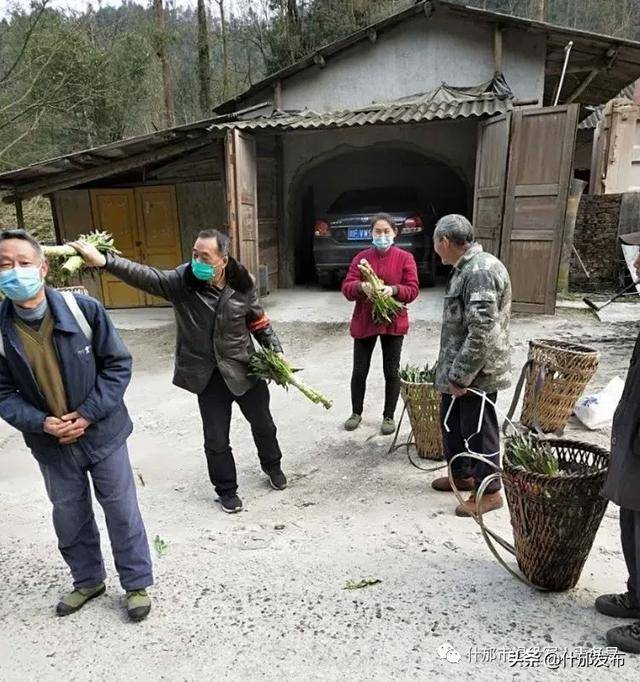 大山里的抗疫一线老兵—记什邡市蓥华镇双桥村老支书,老军人