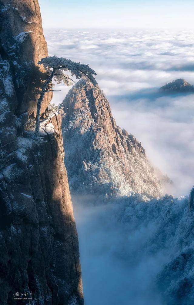 黄山冬日绝美大片!云海,日出,雪松,真是人间仙境啊