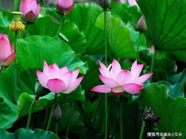 3月福气满堂,苦尽甘来的四生肖,事业高升,有钱不愁花