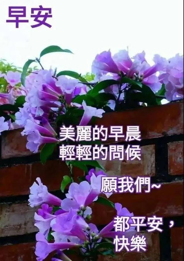 2月27日周四群发早上好问候祝福动态表情图片 春天最美早晨好问候表情