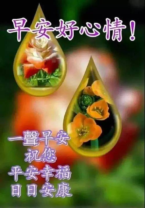 2020早上好新版祝福漂亮图片带字 清晨早上好问候动图