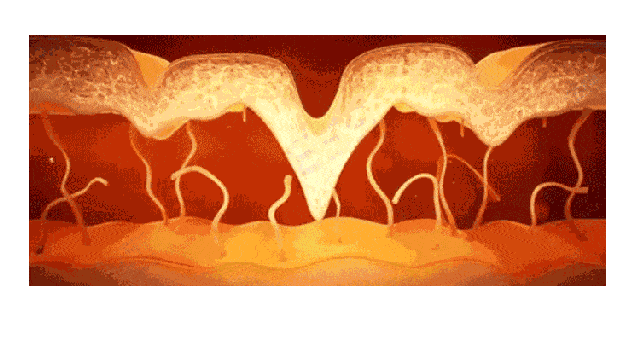 640_354gif 动态图 动图
