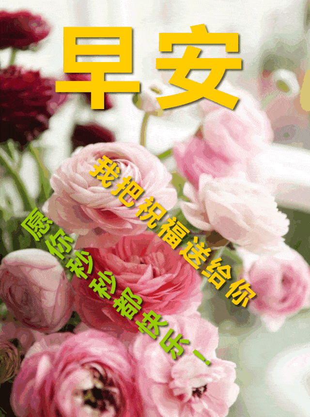 2020超漂亮早上好问候语图片,最美早上好的祝福短信