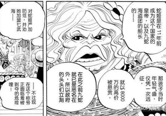 13年前,汉库克参与了远征,获得了8000万贝利的悬赏.