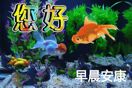 3月1日最新群发早晨好问候祝福图片表情,3月最新早上好问候语句
