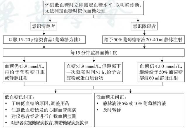 低血糖的诊治流程图