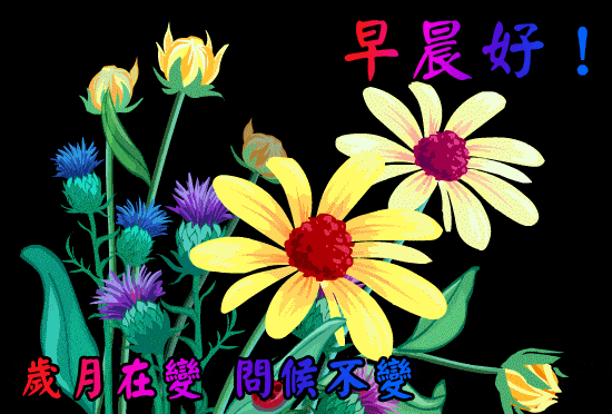 2020鼠年早上好表情包 早上好图片大全温馨_手机搜狐网