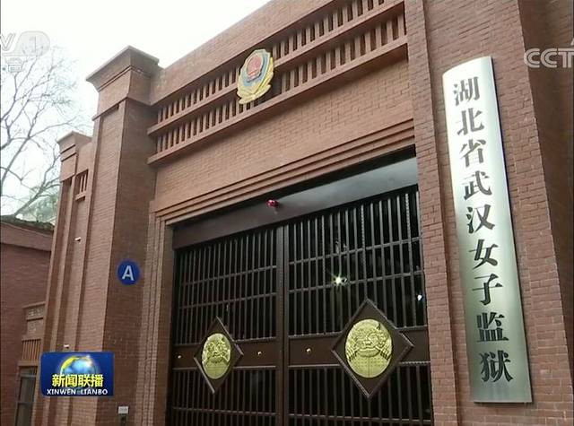 黄某英进京事件调查结果公布,湖北司法厅厅长等多人被