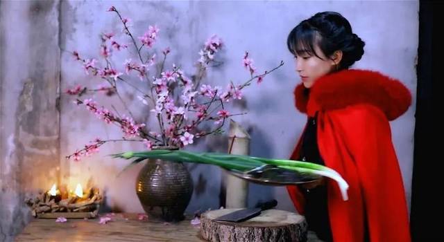 时文素材‖主题:李子柒