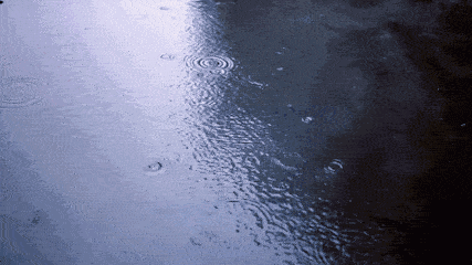 新一波冷空气来袭!紫金3月天气将变这样
