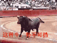 搞笑gif趣图:年纪大了,看不得这漂亮的姑娘_手机搜狐网