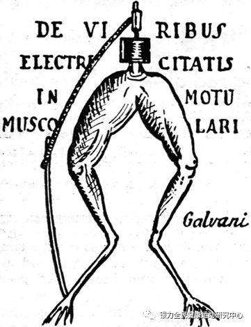 伽伐尼(galvani)发表了《论在肌肉运动中的电力,其中阐述了有关青蛙