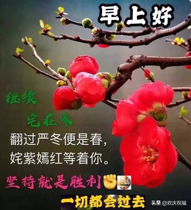 鼠年二月初十一早上好祝福语简短 3月4日周三春天早安