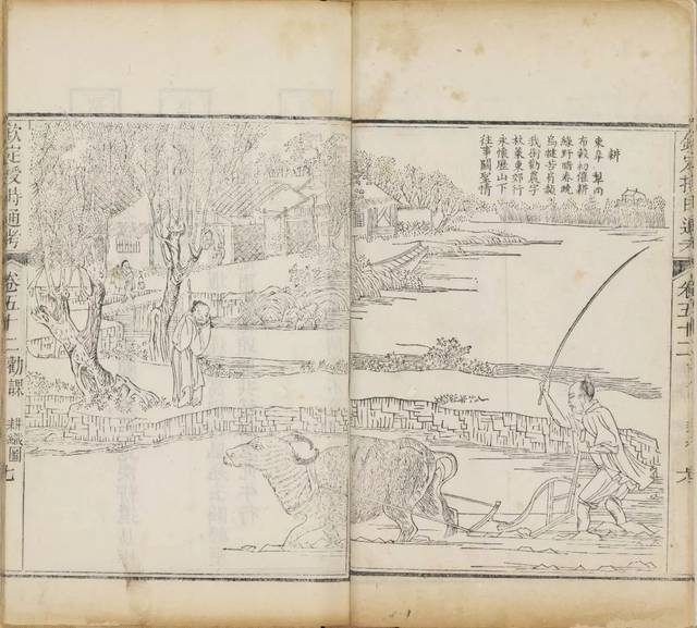 图11 陈枚绘《耕织图》 自乾隆之后,刻本,铜版,石印本先后迭出,难以