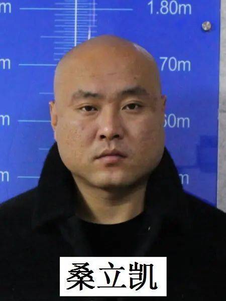 刚刚,辽宁朝阳警方公开征集李永恩为首的黑恶势力违法犯罪线索!