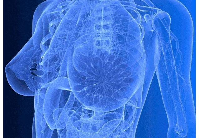 一个个不是34d胸,就是