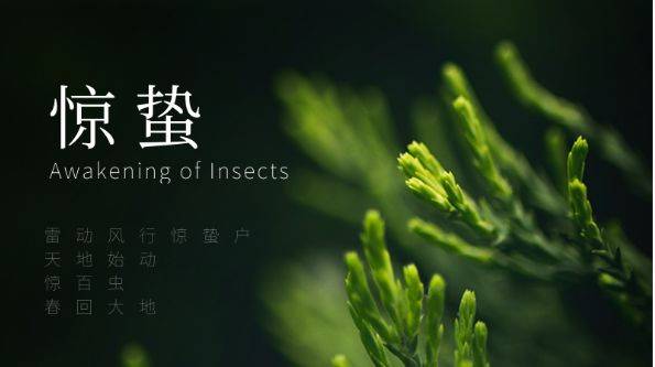 "惊蛰,是春季的第三个节气,为反映自然生物受气候变化影响而出现生长