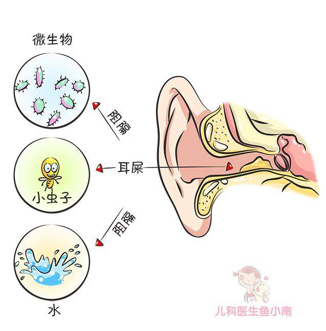 1, 宝宝的耳道非常窄,皮肤免疫力也很弱,见一次掏一次的话,很容易引起