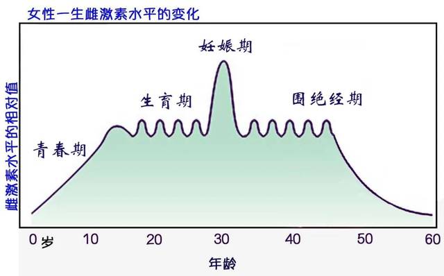 女性的月经周期,妊娠期,围绝经期,对应不同的激素水平变化,产生不同的