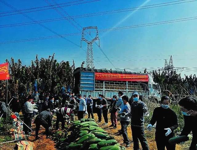 湖北美女主持人喊话广西老表!背后的原因让人泪流满面