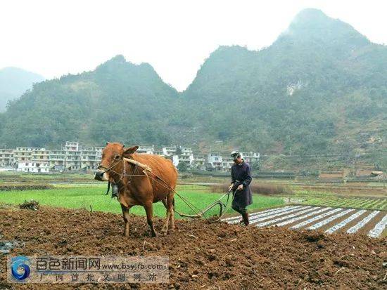 【春耕图】每一寸土地,都是一片希望