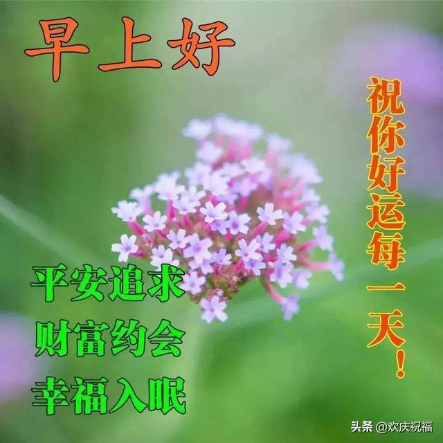 2020早晨好图片大全 新版早上好祝福语唯美句子
