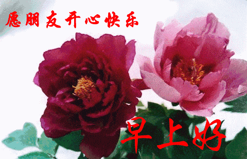 清晨最美早上好动画表情图片带字,早安暖心祝福语
