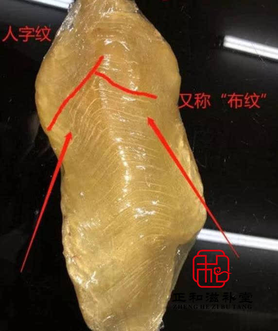 白花胶有没有野生养殖的区别?