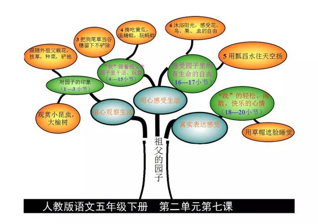 【博士后伴你学】五年级语文下册课文内容思维导图