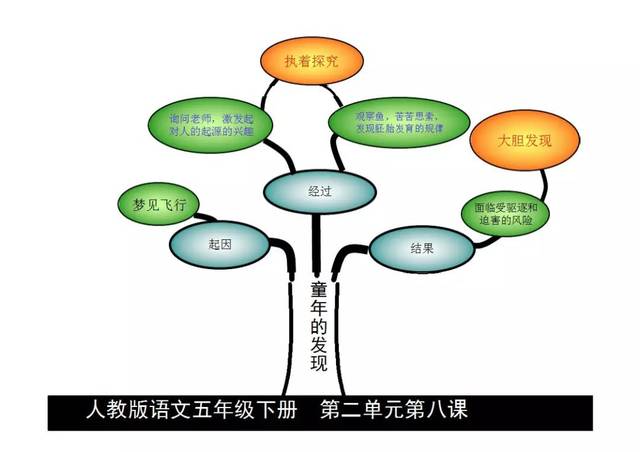 【博士后伴你学】五年级语文下册课文内容思维导图