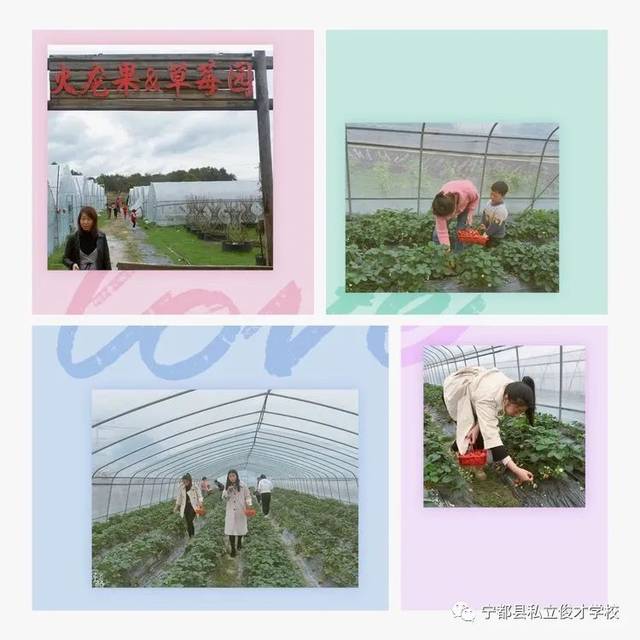 快乐女神奏响幸福乐章