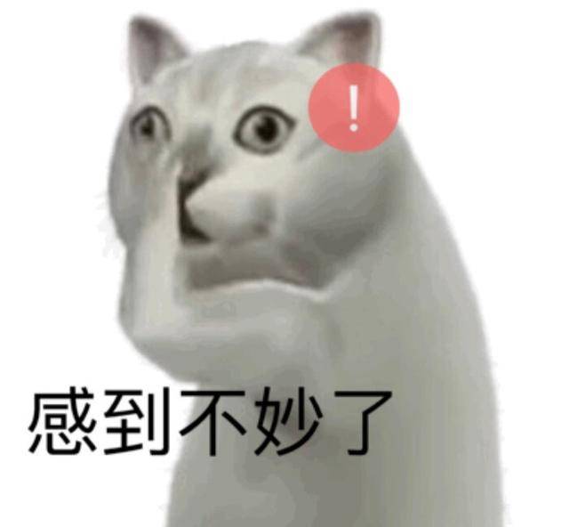 憨憨猫表情包合集|感到不妙了