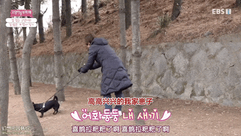 纵横