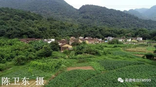 富哥话英德--生态沙口江溪村!