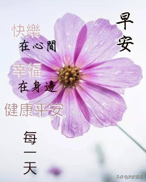 3月13日早上好漂亮问候祝福语表情美图,最新版早上好祝福短信