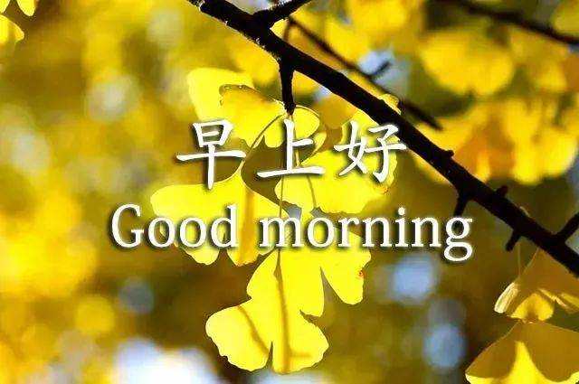 好看的早安祝福表情图片大全动态带字 特别幸福的早安