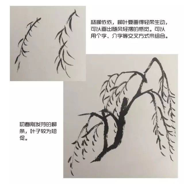 柳树的画法