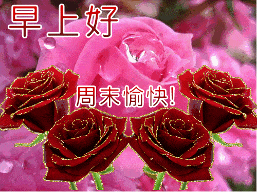 2020早安祝福语短信大全周末早上好问候表情图片带字带祝福语