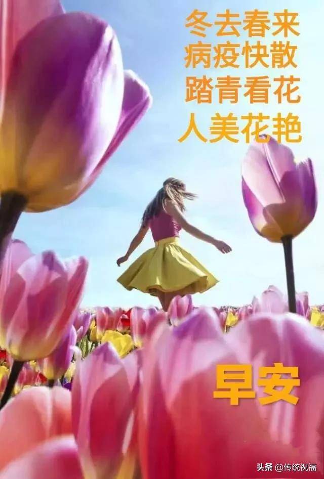 鼠年3月16日早上好祝福语 周一早安表情图片带鲜花免打字