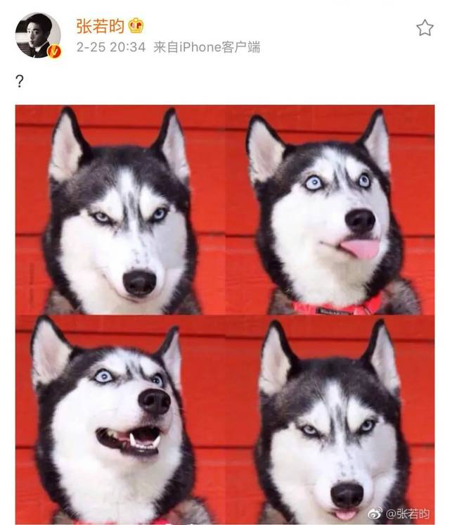 张若昀则是一脸懵逼的发了张哈士奇表情包.